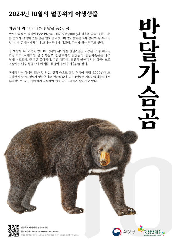 10월의 멸종위기 야생생물 ‘반달가슴곰’ /자료제공=국립공원공단