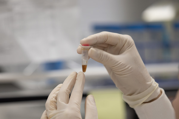 특허기술 /사진제공=국립산림과학원