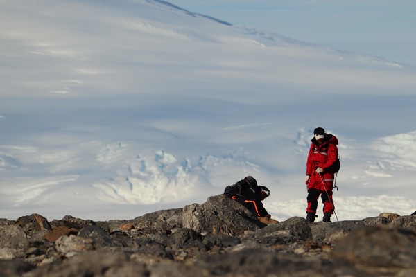 장보고 과학기지 생물 조사 /사진제공=해양수산부