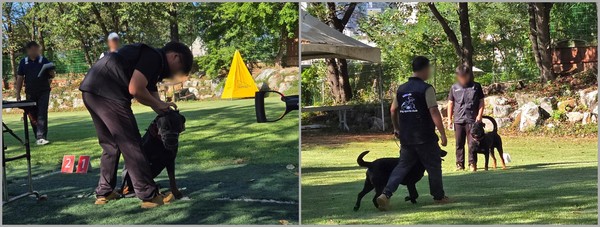 맹견 사육허가 위한 기질평가 현장 모습 /사진제공=경기도