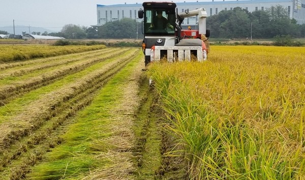 공공비축미 820톤 매입 /사진제공=용인시