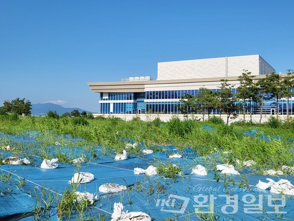 국회부산도서관 인근 중금속 오염토 더미가 쌓인 현장에는 잡초가 무성하게 자라나고 있었다. /사진=장가을 기자 