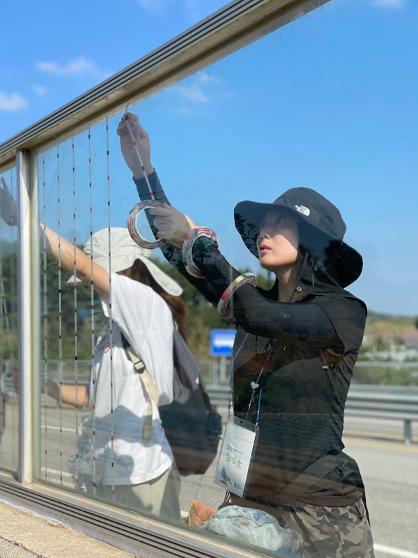 점이 표시된 위치에 맞춰 충돌 저감 스티커를 부착하고 있는 ‘새친구’ 9기 /사진=녹색연합