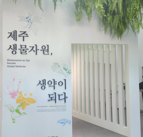 제주 생물자원, 생약이 되다 기획전시 /사진=윤예찬 학생기자