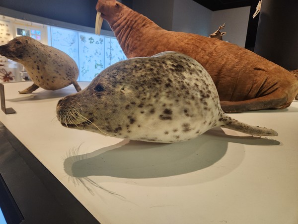 국립호남권생물자원관의 전시 생물 /사진=윤예찬 학생기자