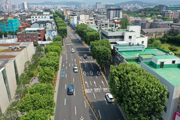 사각기둥 모양 테마전지한 정조로 가로수길 /사진제공=수원시