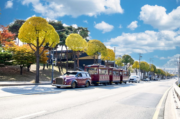 은행나무를 둥근 모양으로 테마 전지한 창룡대로 /사진제공=수원시