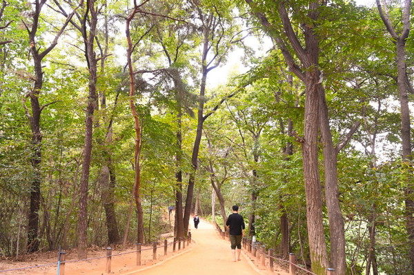 광교호수공원 내에 조성된 황톳길 시민들이 걷고 있다 /사진제공=수원시