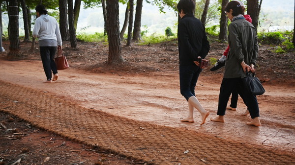 호매실지구 산울림공원 황톳길을 맨발로 이용하는 시민들 /사진제공=수원시