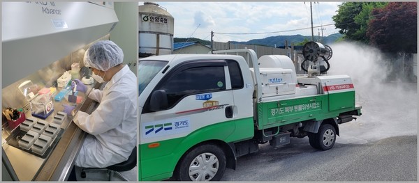 경기도, 화천 아프리카돼지열병(ASF) 모두 음성 /사진제공=경기도