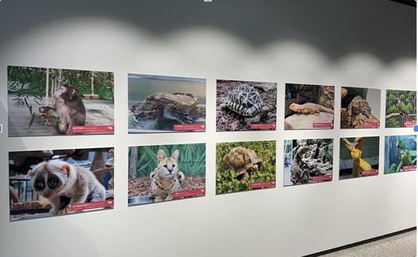 부산시 낙동강하구에코센터 멸종위기종 관련 사이테스 특별 기획전 /사진제공=부산시 