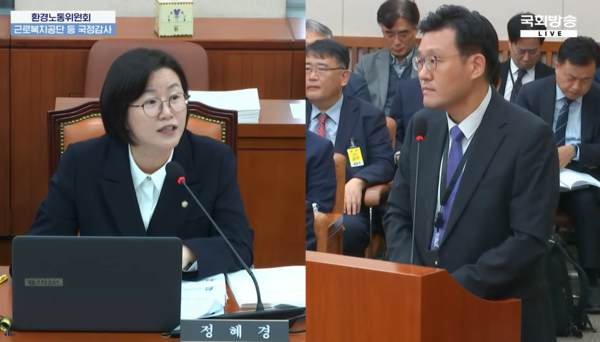 정혜경 의원(왼쪽)이 김종윤 고용노동부 산업안전보건본부장에게 산재 승인율이 하락한 원인을 물어보고 있다. /자료제공=국회