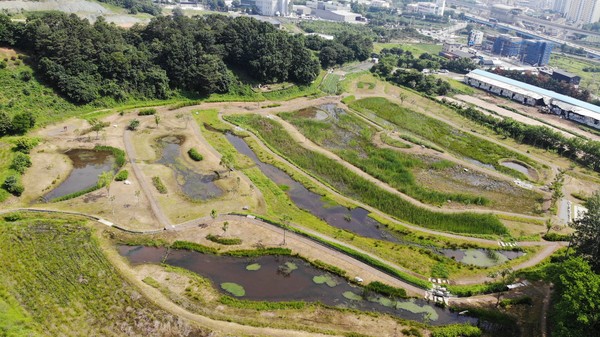 4대강 수계 조성사업 후 모습 /사진제공=한국환경보전원