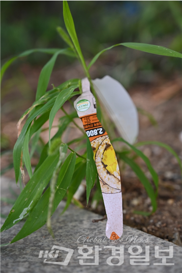 여의도 길거리 화단을 장식한 쓰레기 /사진=박준엽 인턴기자