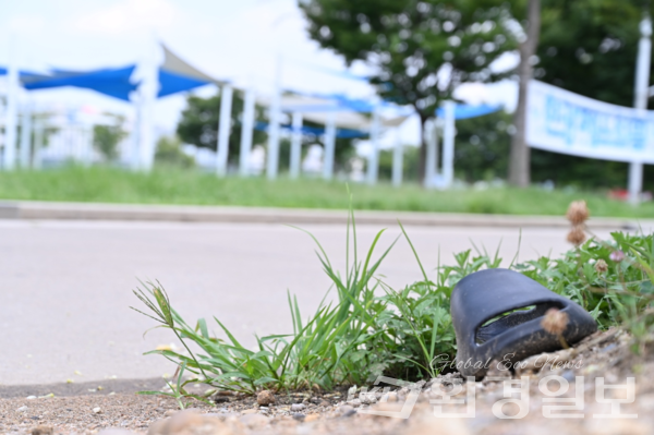여의도 한강공원에 버려진 슬리퍼 /사진=박준엽 인턴기자