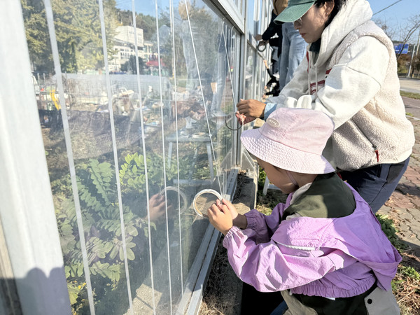 조류충돌 방지 스티커 부착 캠페인 /사진=인천녹색연합