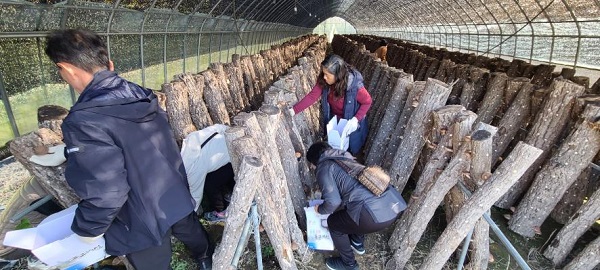친환경농업체험마을 행사  /사진제공=청도군