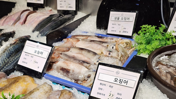 오징어 /사진=김희민 학생기자