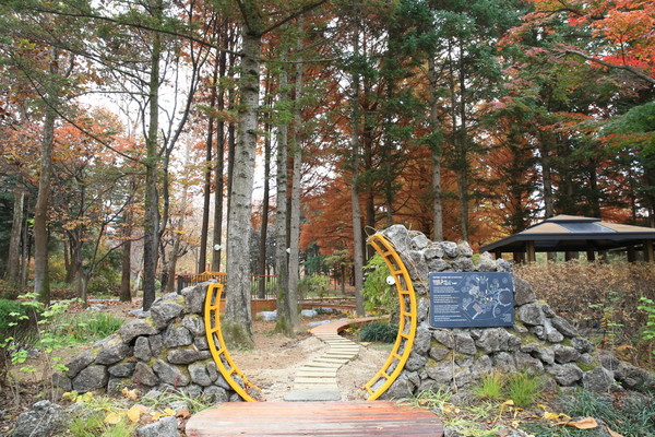  스타프렌즈 정원 5호 /사진제공=KB국민은행