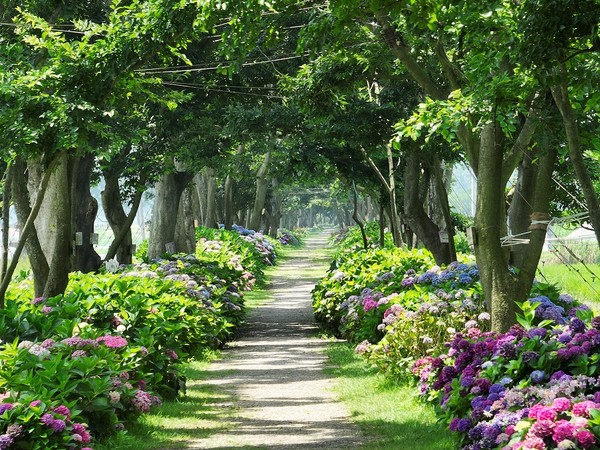 도초도 환상의 정원 /사진제공=신안군