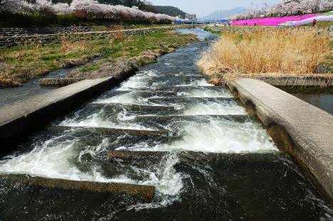 대상 봄의 어도 (전희철) /사진제공=해양수산부