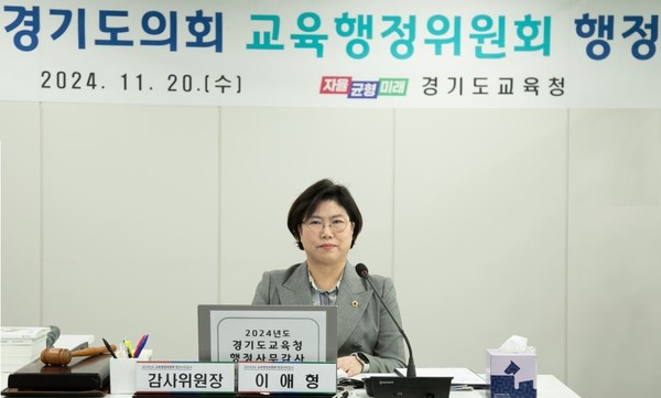 이애형 경기도의원 /사진제공 = 경기도의회