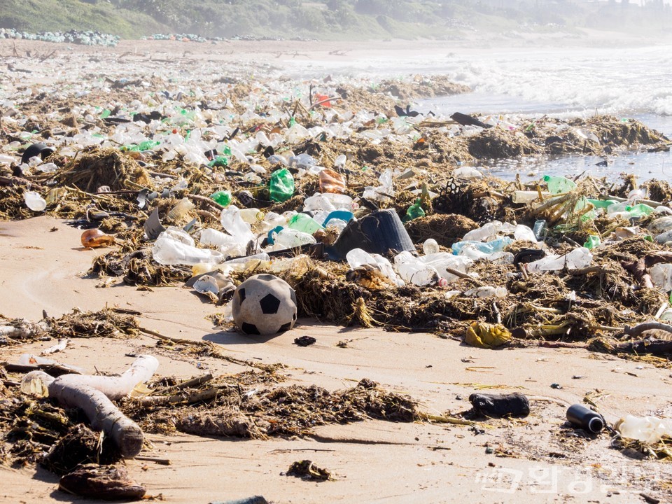 해양 플라스틱 쓰레기 /사진제공=WWF