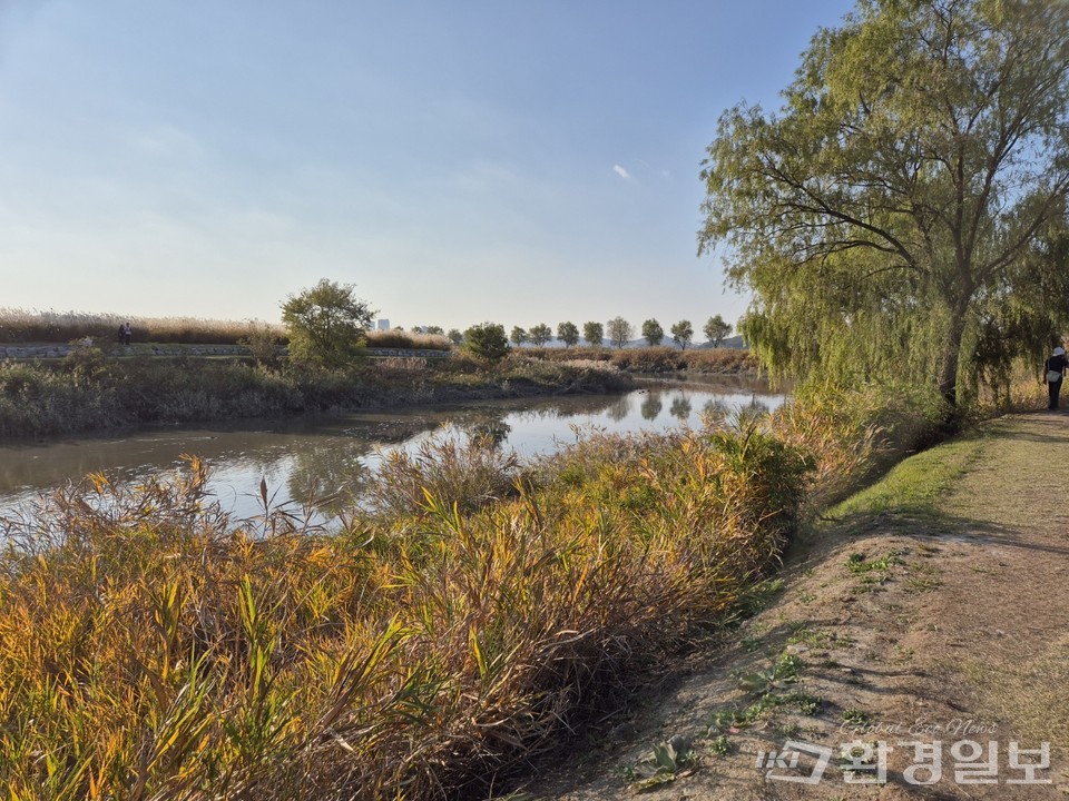 갯골생태공원 내 물가에는 지리적 이점을 살려 많은 야생동물이 서식하고 있다. /사진=김태현 객원기자