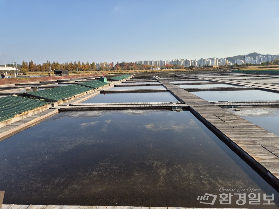 공원 내에는 철거하지 않은 염전이 있으며, 이곳에서 염전 체험도 해 볼 수 있다. /사진=김태현 객원기자