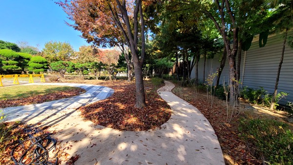 강남구는 공모사업에 선정돼 획득한 2억 원으로 무장애 나눔숲을 조성하고 11월28일 준공식을 연다. /사진제공=강남구청