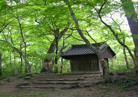 원주 성황림 및 성황림마을 /사진제공=환경부