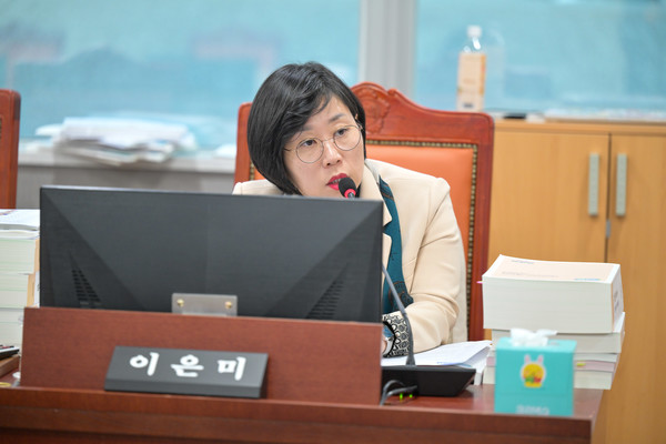 이은미 경기도의원 /사진제공=경기도의회