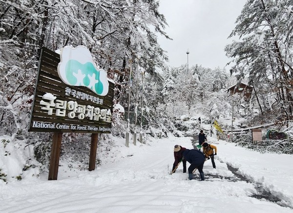 폭설에 산림복지시설 긴급재난 복구 /사진=한국산림복지진흥원