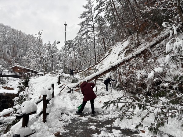 폭설에 산림복지시설 긴급재난 복구 /사진=한국산림복지진흥원