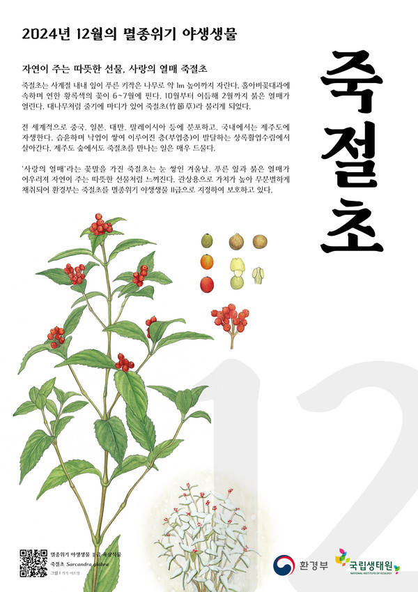 12월의 멸종위기 야생생물 /자료제공=국립생태원