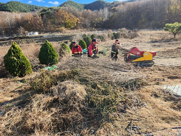 영농부산물 안전처리 지원사업 현장  /사진제공=고령군