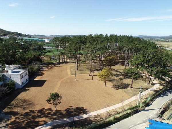 해남군, 황산면 눙눙길 치유숲 /사진제공=해남군