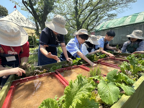 시 농업기술센터 노력으로 '제20회 생활원예 치유농업 중앙경진대회에서 부산지역 학교가 6년 연속 수상하는 쾌거를 이뤘다. /사진제공=부산시 