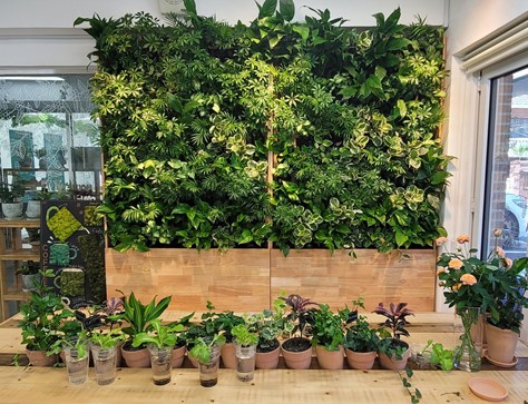 시 농업기술센터는 12월10일 '실내공기질 개선을 위한 식물활용 시범사업' 성과공유회를 열 계획이다. /사진제공=부산시