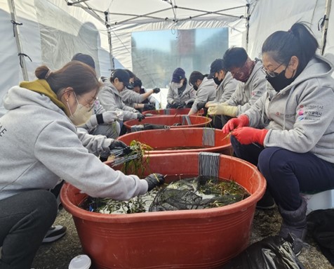 시는 12월6일 (주)신세계와 함께 기장 월전항 일원에 거머리살 서식지 조성을 끝마쳤다. /사진제공=부산시 