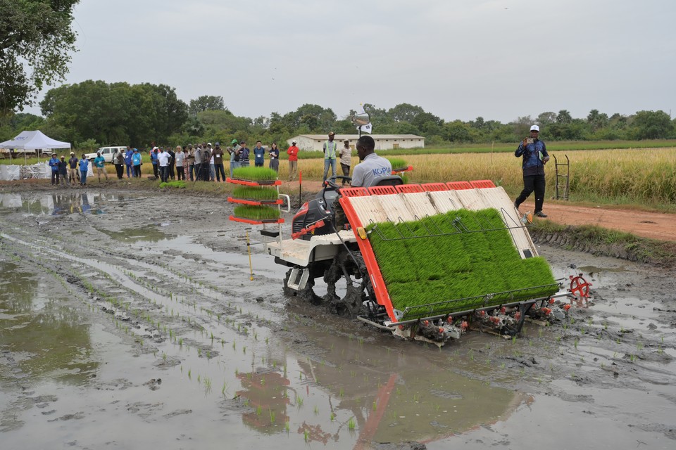 벼 종자 국제 심포지엄 참석자들이 감비아 사업현장인 사푸(Sapu) 지역에서 농기계 시연 현장을 견학했다. /사진제공=농촌진흥청