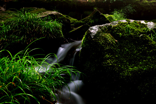 금정산 범어사계곡 /사진=환경부