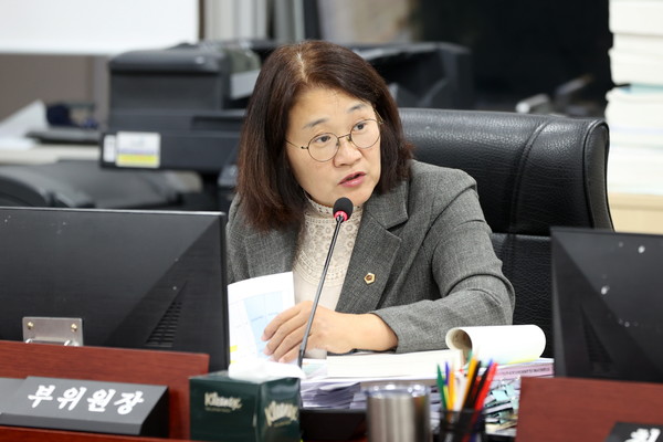 신미숙 경기도의원 /사진제공=경기도의회