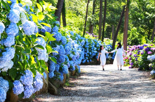 포레스트수목원 /사진제공=해남군