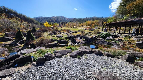 백두산부터 지리산까지 1400km를 잇는 백두대간에는 우리나라 자생식물의 33%가 서식하고 있다. 여기에는 아시아 최대 규모의 '국립백두대산수목원'이 있으며, 백두대간수목원은 산림생태계 및 백두산호랑이 등의 생물다양성 보존에 힘쓰고 있다. /사진=김인성 기자