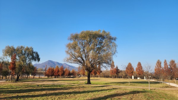 두물머리 박람회 개최지 /사진제공=경기도
