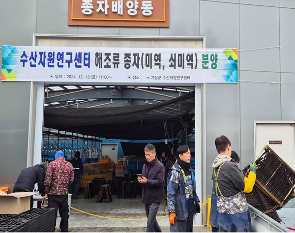 군은 군 수산자원연구센터엥서 생산한 해조류 종자를 관내 어업현장에 보급했다고 밝혔다. /사진제공=기장군 