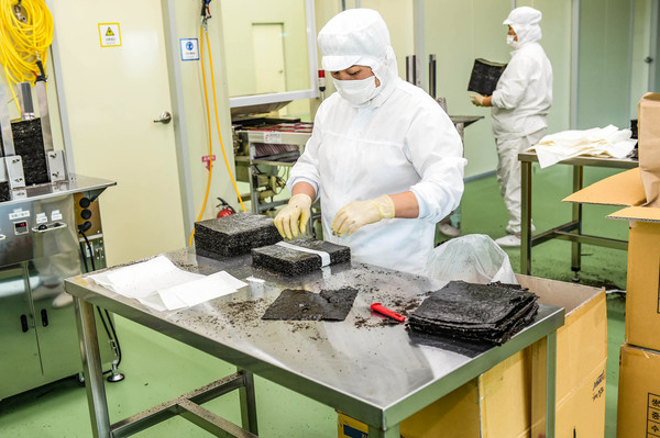 김 수출액 1억 달러 달성 /사진제공=목포시