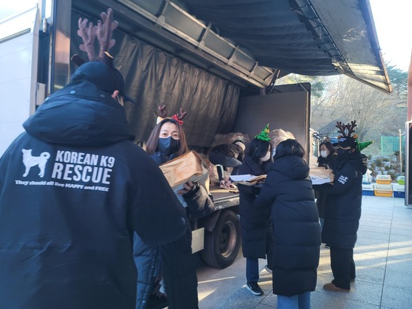 동물단체, 안락사 위기 81마리 구조 /사진=루시의 친구들