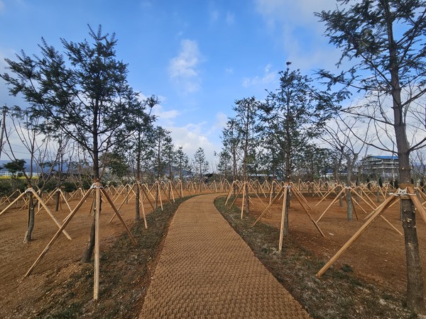 강진읍 남포마을 일원에 조성한 기후대응 도시숲 /사진제공=강진군